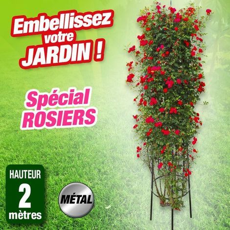 Tuteur en colonne pour rosier et ANDIAMO plante grimpante. aus Metall. Höhe 2 Meter