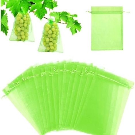 Sac Protection Fruits, 60 Pièces, Cordon Anti-Insectes (1/4)