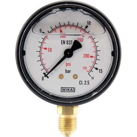 Manomètre WIKA MA6316L04PLGF
