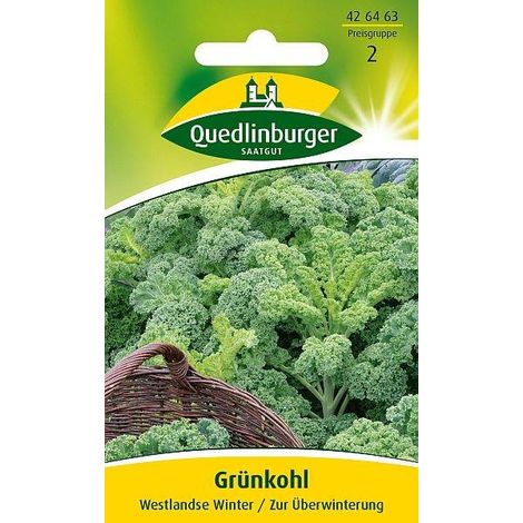 Quedlinburger Grünkohl Westlandse Winter - Gemüsesamen