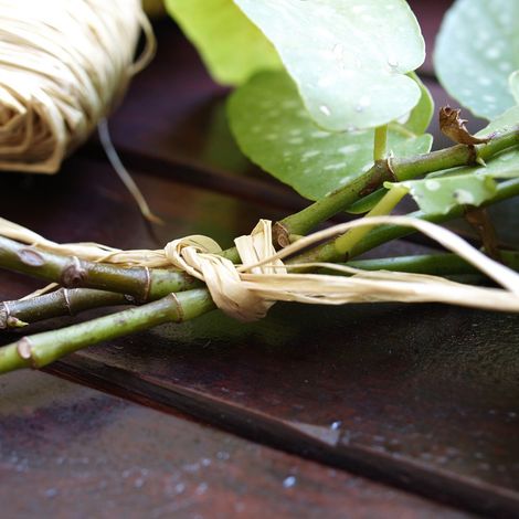 Raphia natural 50 gr nortene
