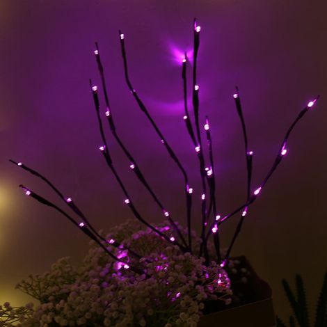 Lampe En Forme De Branches De Saule - 20 Ampoules LED - 77 Cm - Alimentée Par Piles - IP44 - Pour Décoration Intérieure Et Extérieure - 1 Pièce (1/3)