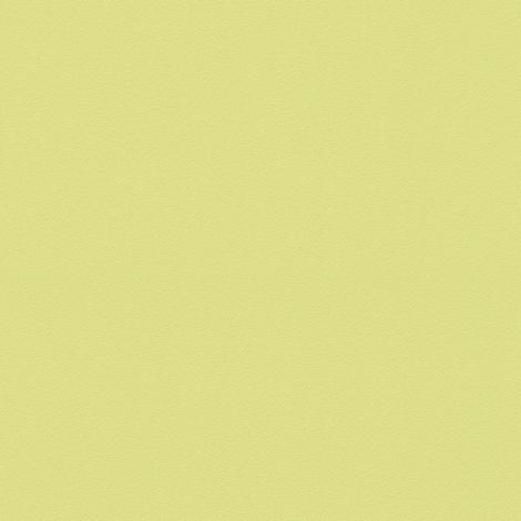 Papier peint intissé couloir & salle de bain | Papier peint vert uni chambre enfant & garçon | Tapisserie verte intissée idéale cuisine - 10,05 x 0,53 m (1/5)