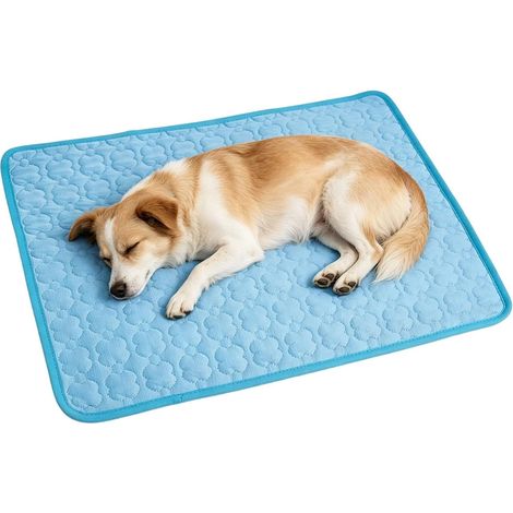 Tapis Rafraîchissant Chien Matelas Doux Respirant Lavable Pour Animaux Tapis rafraîchissant animaux pour Chatons Chiots Toutes Tailles Intérieur Extérieur Maison Sol Cage (1/5)