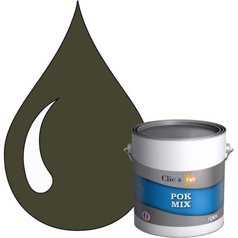 Peinture d'Accroche et Finition 2 en 1 - POK - POK MIX - Acrylique Satinée - RAL 7013 - 3L (1/4)