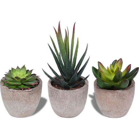 Lot de 3 plantes grasses artificielles en pot – Succulentes décoratives pour bureau, balcon, salon – Matériau plastique, entretien facile – (1/5)