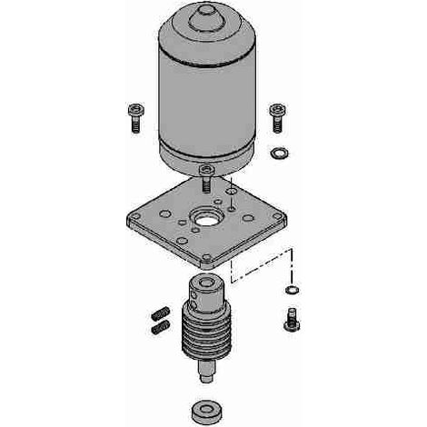 SPGM055500A Conjunto de motor eléctrico 24 V ROBUS 250 HS Repuesto original NICE SPGM055500A