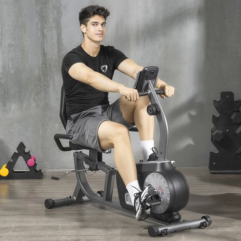Bicicleta Estática con Respaldo 8 Niveles de Resistencia Magnética Longitud Ajustable Pantalla LCD para Casa Gris (1/5)