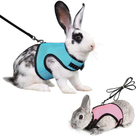 Harnais souple pour lapin avec laisse-Lot de 2-Harnais en maille pour chaton-Réglable-Élastique Laisse de jogging pour animaux-XL (1/5)