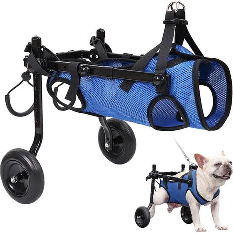 Rollstuhl mit verstellbarer Rückenstütze, speziell für kleine Hunde, XS (3-4 kg) (1/5)