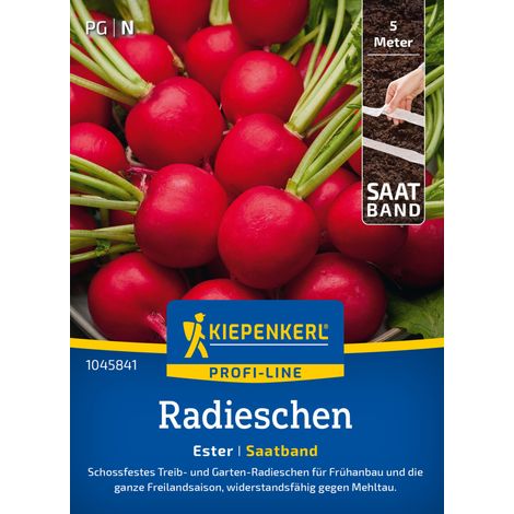 Kiepenkerl Profi-Line Saatgut Radieschen Ester Saatband für ca. 0,5 – 0,75 m² (1/2)