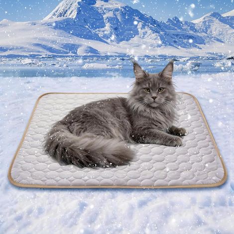 Tapis Rafraîchissant Chien 100x70cm, Coussin Refroidissant Non Toxique en Polyester, Pliable et Facile à Nettoyer pour Intérieur, Extérieur et Voiture (1/4)