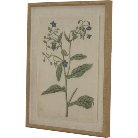Flora & Fauna Collection Borage on Linen in Beaded Frame - Glass - L2 x W40 x H50 cm - Brown