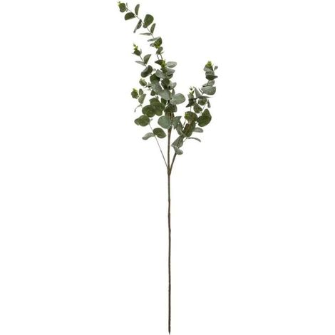 Paris Prix - Branche D'eucalyptus génération Vintage 98cm Vert