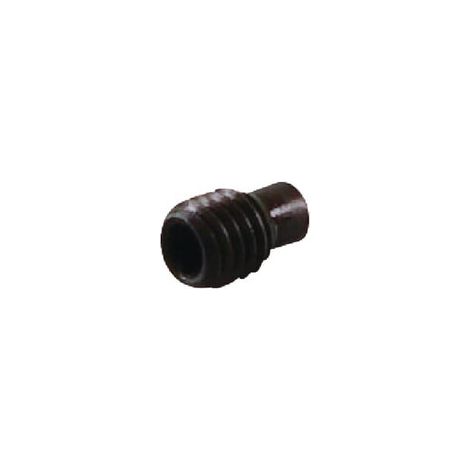 Tornillo ETESIA ET29992