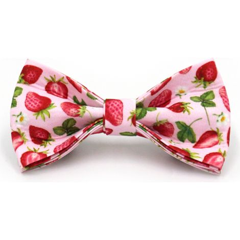 Collier de chien avec laisse / M / Coton / Réglable / Rose motif fraise / Collection Floral & Fruit (1/2)