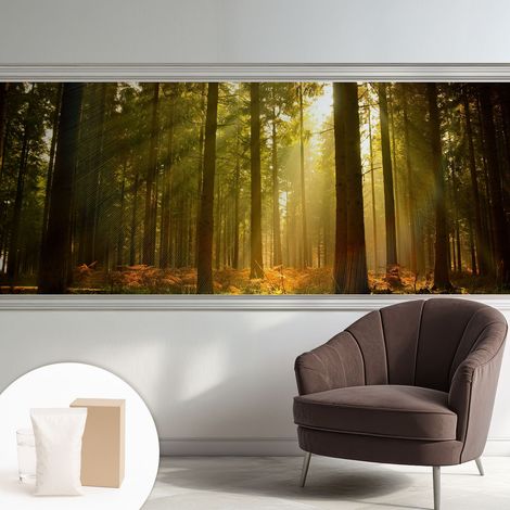 Papier peint intissé mural avec colle pour salon et chambre Décoration murale rapide - Colle incluse gratuite Matin dans la forêt 250x104 cm (1/5)