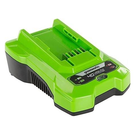 Caricabatterie GREENWORKS 40V - G40C (1/7)