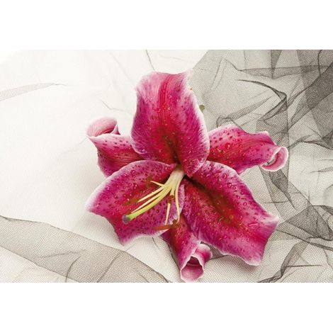 Lily red, photo murale, 360x255 cm, 4 parts (1/2)