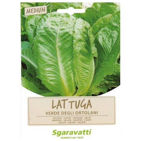 SEMI PER ORTAGGI E VEGETALI lattuga verde degli ortolani