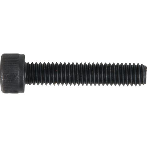 Vis, M6x1,0 mm