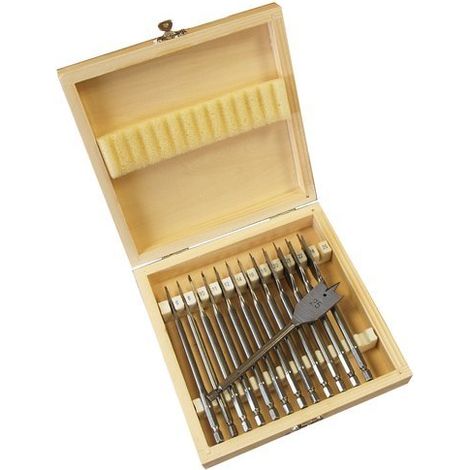 SET DI PUNTE DA TRAPANO PER LEGNO 6-25 mm 13 pz BEAST