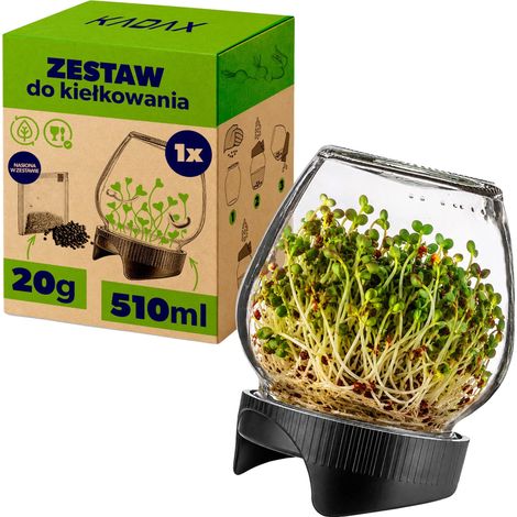 Keimgefäß, Glasmaterial, Enthält Samen, Zeit (1/5)