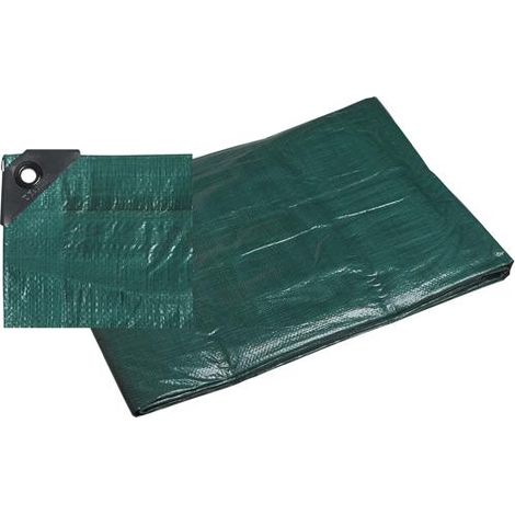 TELONE OCCHIELLATO VERDE 6X 4MT PAPILLON