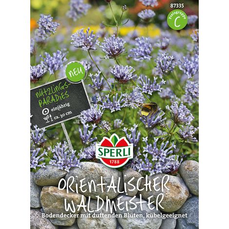 Sperli Orientalischer Waldmeister - Blumensamen (1/2)