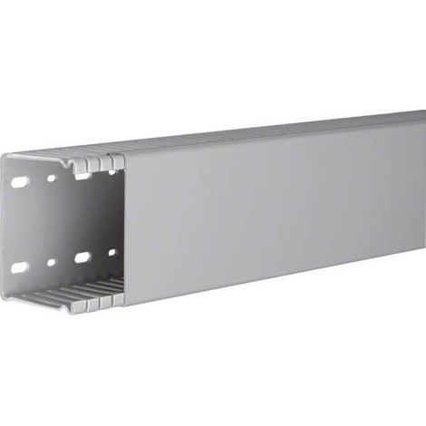 Tehalit Verdrahtungskanal BA6 60080B gr 2 Stk