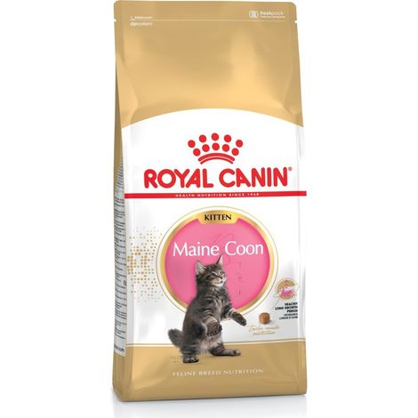 Royal Canin – Croquettes pour chat Maine Coon Kitten volaille et riz 400 g – Protéines 36 % – Croissance optimale pour chatons – Sans colorants artificiels