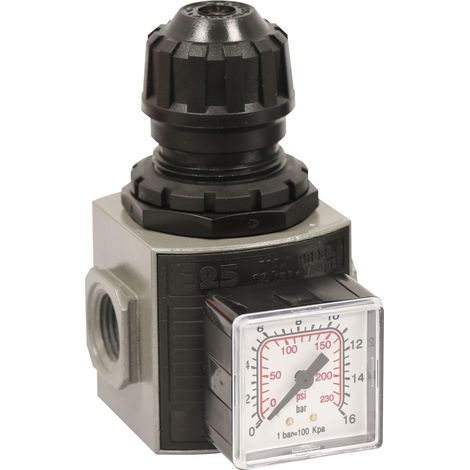 ANI - Régulateur - 06304 - Ce produit de marque ANI est neuf.