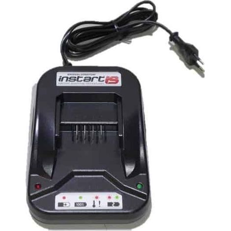 Cargador batería Briggs y Stratton Instart, 593562 (1/4)