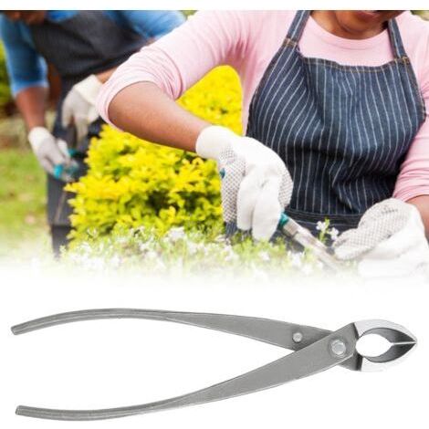 Outils de Jardinage pour Création de Bonsaï Ciseaux de Taille à Bec Oblique et Ciseaux de Greffe (1/5)