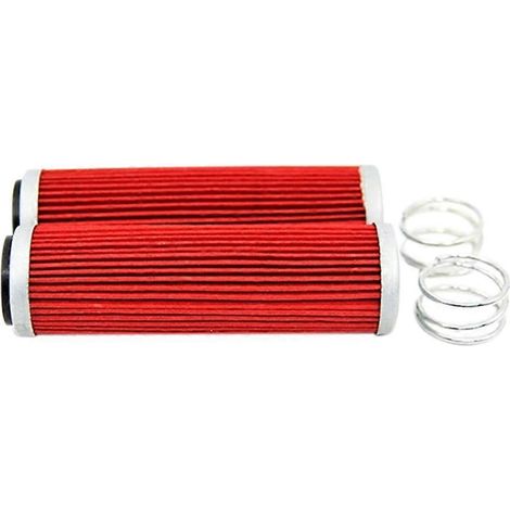 Lot de 2 filtres à huile moteur pour moto tout-terrain Zongshen NC250 NC450 (1/5)