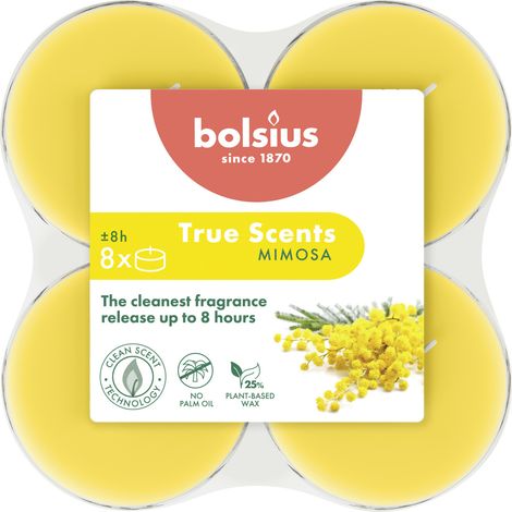 Bolsius Duft-Teelichte Maxi 8 Stunden 8er Pack True Scents Mimose Duftkerze