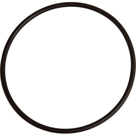 Fugenring für Filtergehäuse Standard Nm