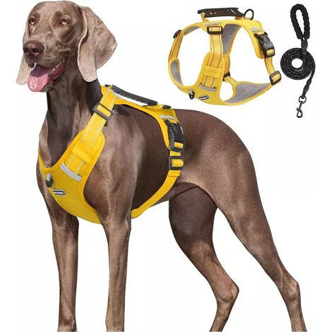 Filiyano-Harnais pour chien ultra-résistant, harnais tactique anti-traction Reflex Tough Trim avec coutures renforcées et deux points d'attache pour (1/5)