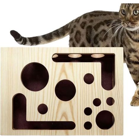Katzen-Krallenpflegespielzeug – interaktiver Spender