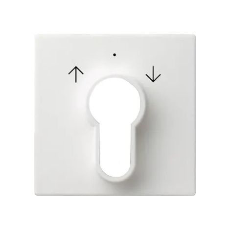 Gira Abd. Interruptor/pulsador llave System 55 Blanco puro [066403], 0664 03