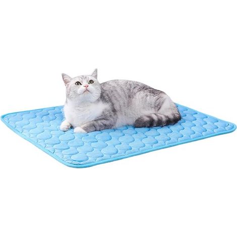 Tapis rafraîchissant pour animaux - Tapis d'été pour chien - Tapis glacé pour animaux - 50 x 40 cm - vert (1/5)