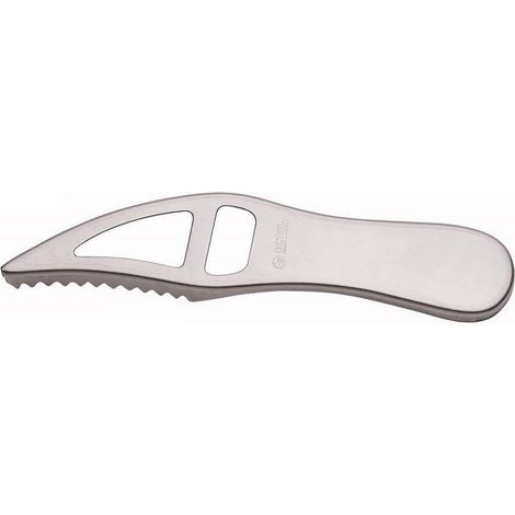 Icel squamapesce professionale acciaio inox 19 cm