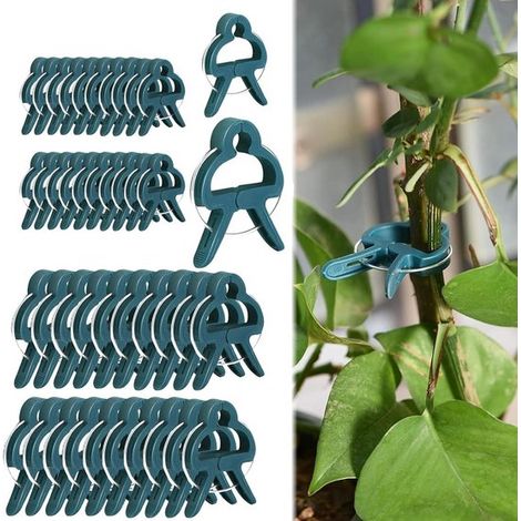 Confezione da 40 clip di supporto riutilizzabili per piante, clip per fissare piante rampicanti di pomodori e cetrioli, 2 misure (1/2)