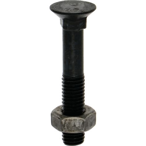 Pflugbolzen mit Mutter M10x60mm Klasse 8.8 DIN 608 Kopf Ø19 mm für Pflug 106088