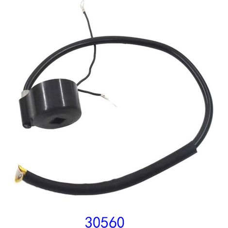 30560 Zündspule Rasenmäherzubehör Passend für Modelle 33-363 29632 30546 610768 (1/3)