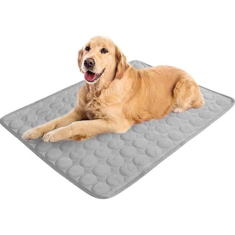 Tapis rafraîchissant pour chien et chat, tapis auto-rafraîchissant pour animaux de compagnie pour l'été, coussin rafraîchissant réutilisable qui aide à lutter contre la surchauffe et procure du confor (1/5)