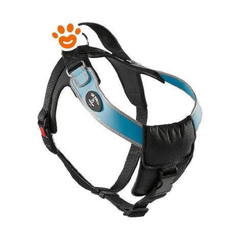 Treponti Pettorina Cani Taglia Grande Bordo Rifrangente XXL - Treponti Pettorina Cani Taglia Grande Bordo Rifrangente XXL - Azzurro
