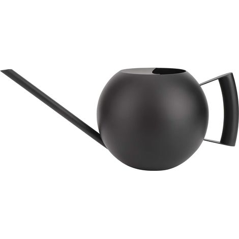 Arrosoir d'intérieur avec Long Bec en Acier Inoxydable, 1L/33 oz Arrosoir pour Plantes d'intérieur, Noir à Long Bec en Acier Inoxydable Arrosoir pour Plantes Grasses, bonsaï, Jardin (1/5)