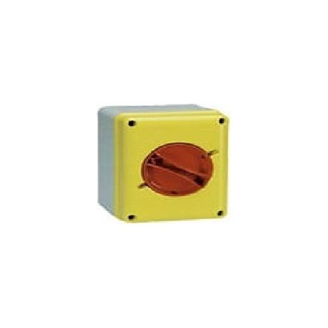 Interruttore Sezionatore da parete 4x100A Giallo Rosso