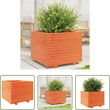 Bac à fleurs - Jardinière cire marron 60x60x49,5 cm bois de pin massif (1/5)